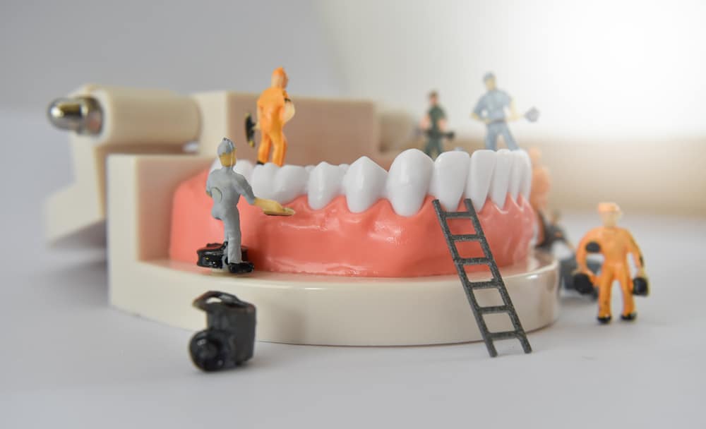 miniature people worker cleaning tooth model as medical and healthcare